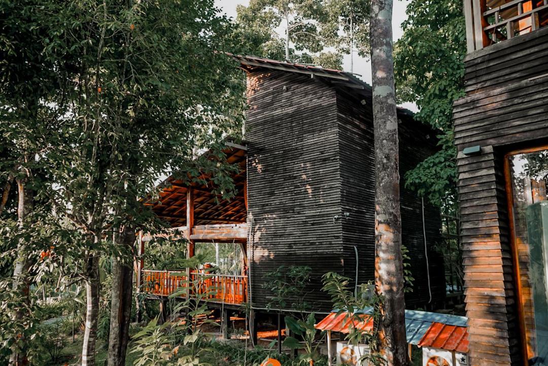 De Foret Elephant Beach Exterior photo
