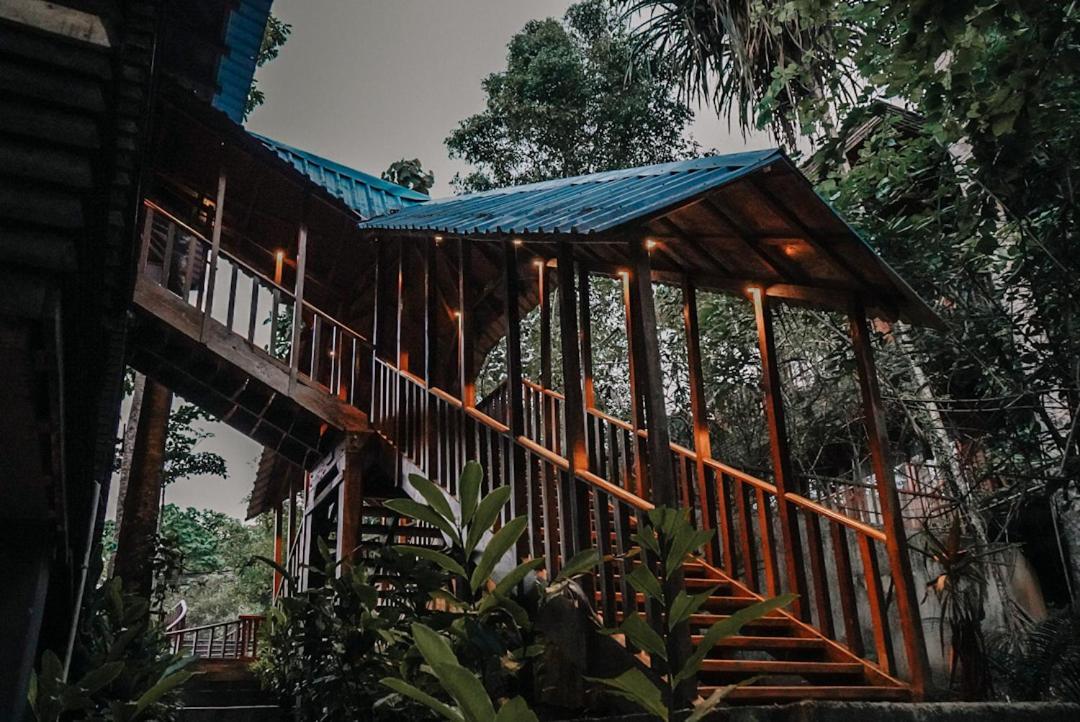 De Foret Elephant Beach Exterior photo