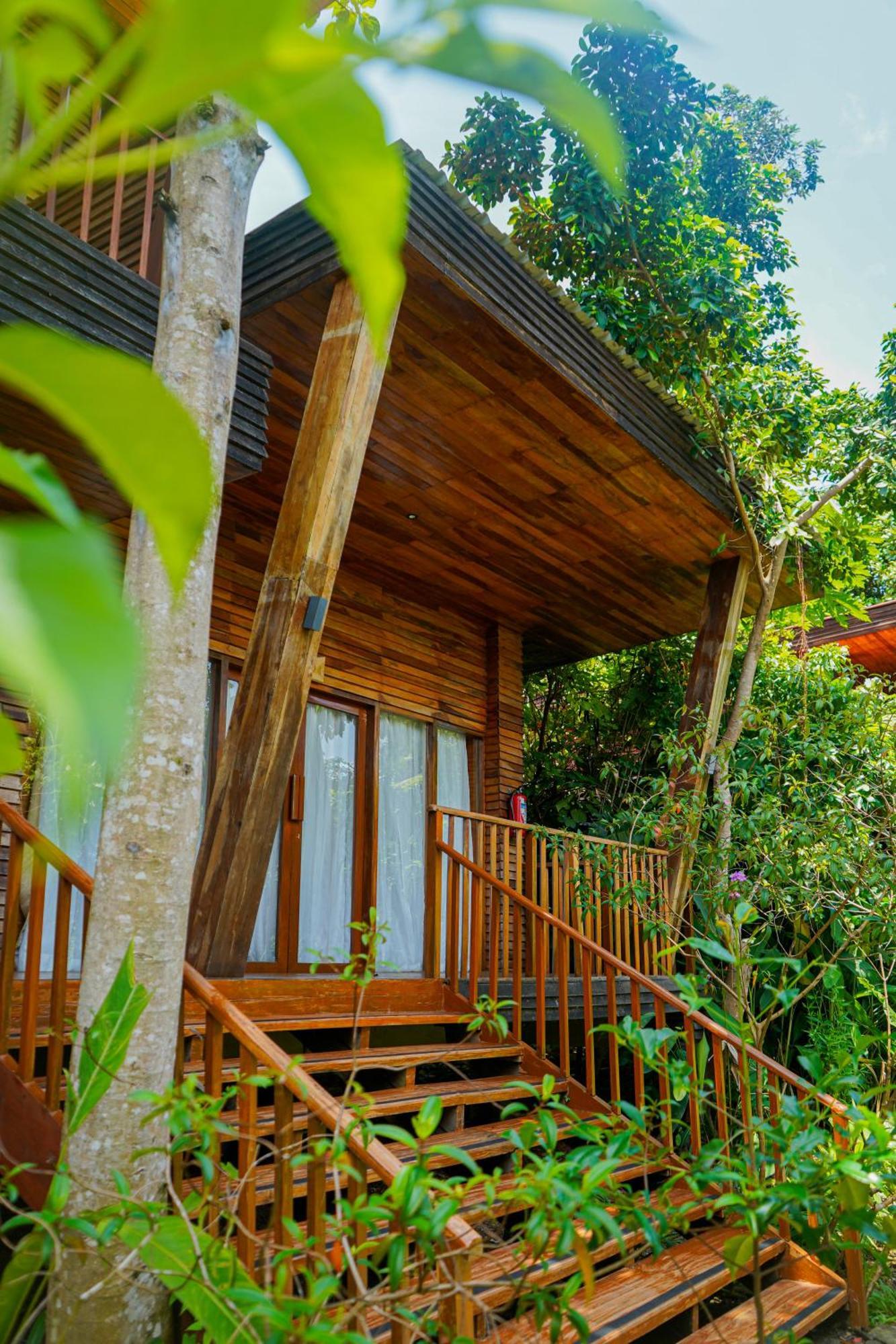 De Foret Elephant Beach Exterior photo