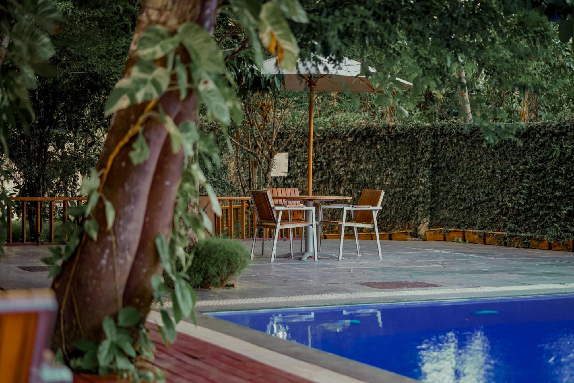 De Foret Elephant Beach Exterior photo
